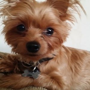 Meet your Posher, Luis